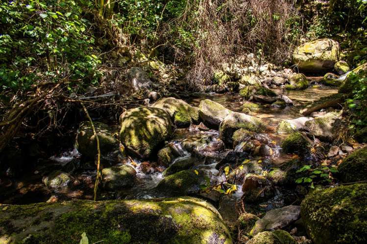 99 Jubilee Road Wainui_14