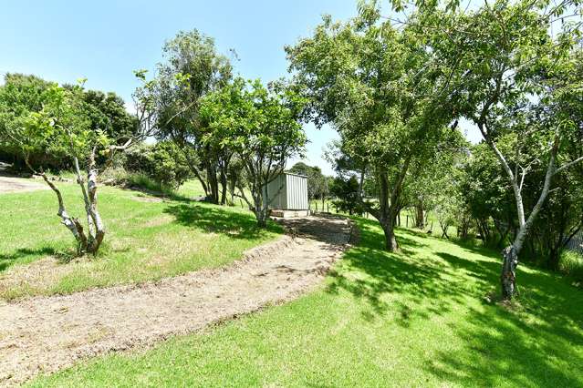 379 Kiwitahi Road Helensville_4