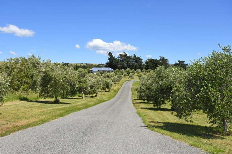 142b Dublin Street Martinborough_22