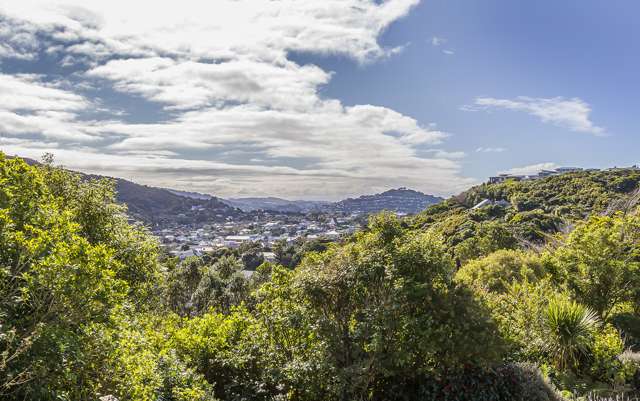 29b Lynmouth Avenue Karori_4