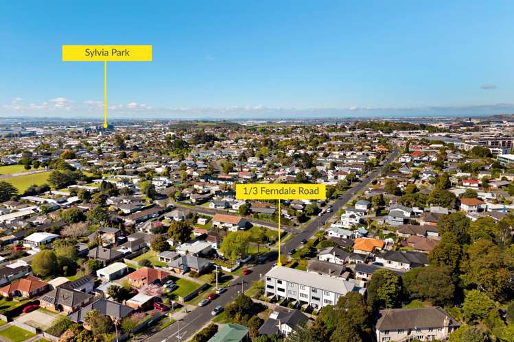 1/3 Ferndale Road Mount Wellington_23