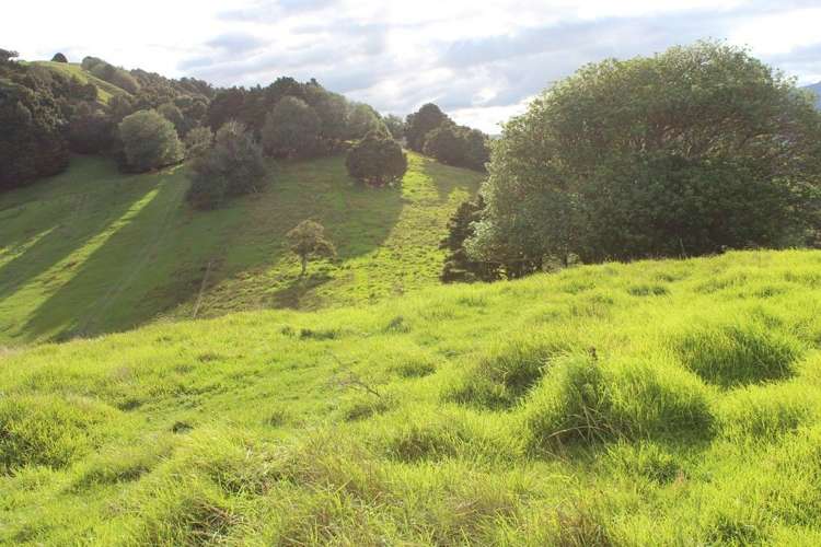 Pipiwai Road Ruatangata_1