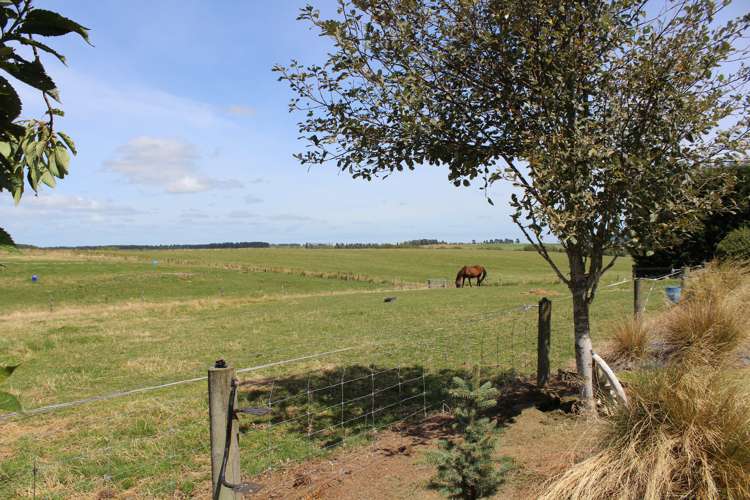 446 Anderson Road Winton Surrounds_19