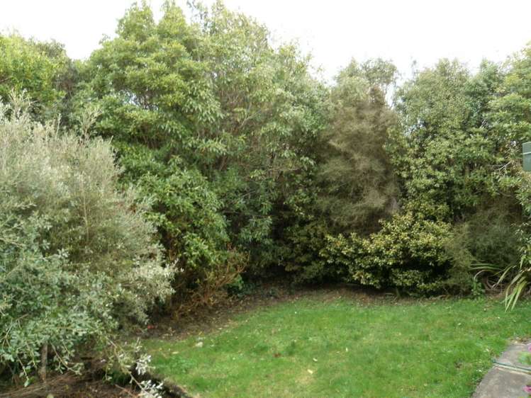 16 Koromiko Street Kaka Point_13