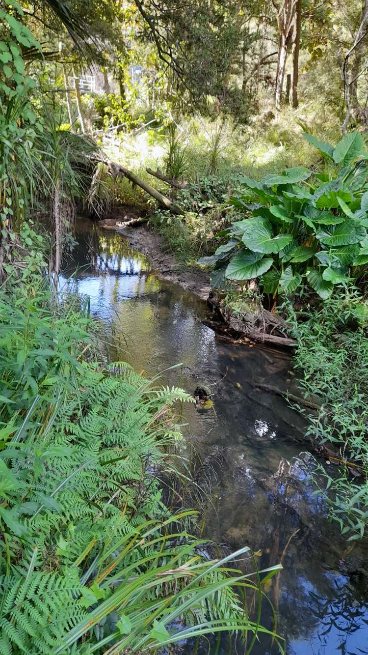 746 Parapara-Toatoa Road Taipa_26