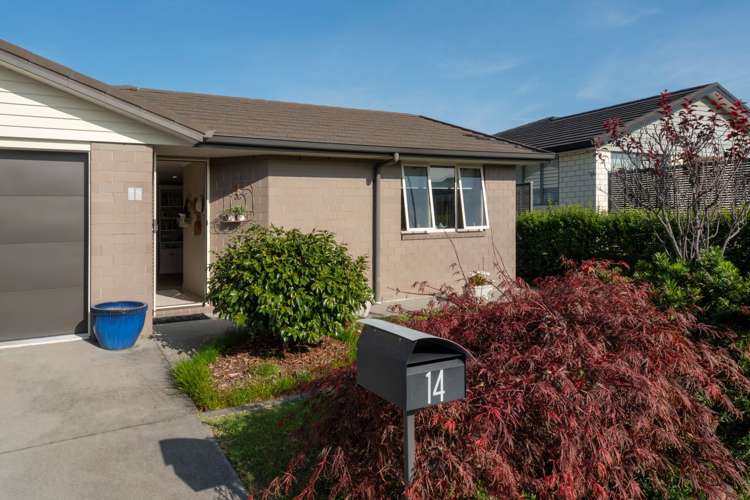 14/4 Greystone Place Omokoroa_25