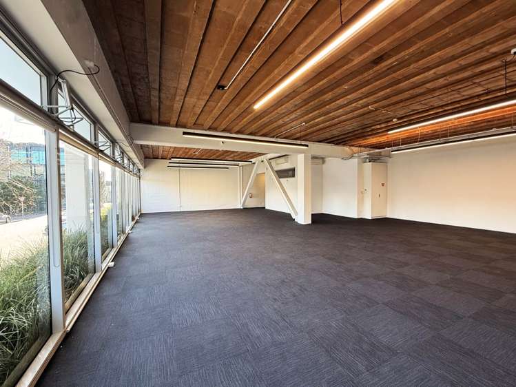 17 Maidstone Street Grey Lynn_4