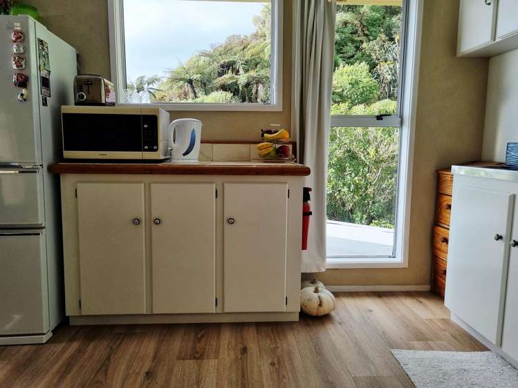280 Nikau Road Hector_14