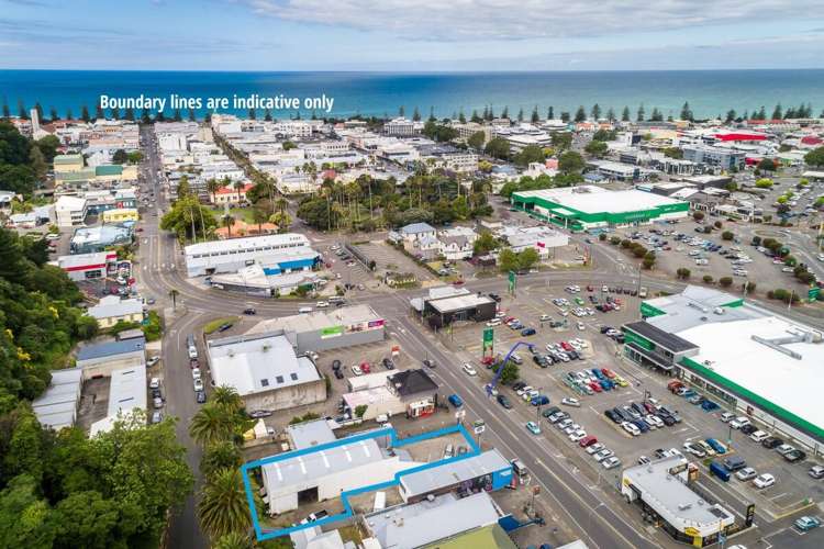 25 Carlyle Street Napier South_10