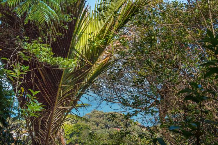 31 Trotter Avenue Waiomu_17