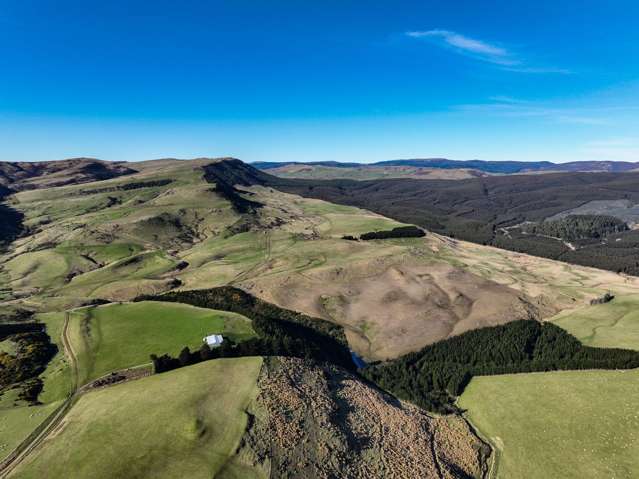 Carbon, Timber and Green Energy Potential