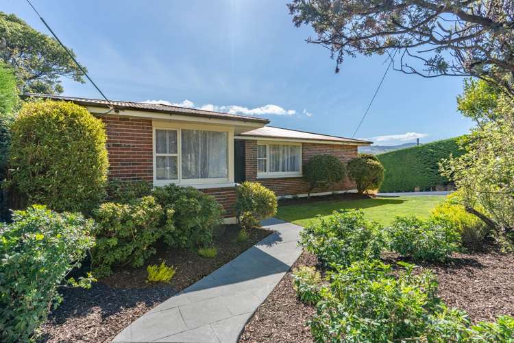 103 Larnach Road_2