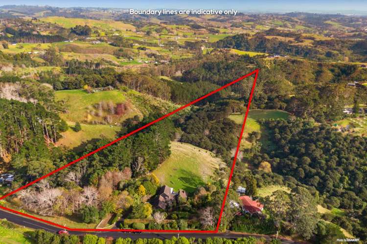 212 Ara-Kotinga Whitford_35