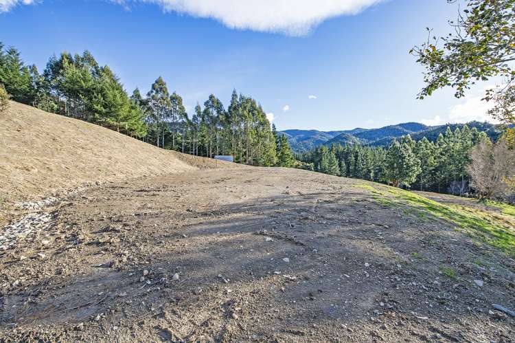 255 Glentui Bush Road Glentui_6