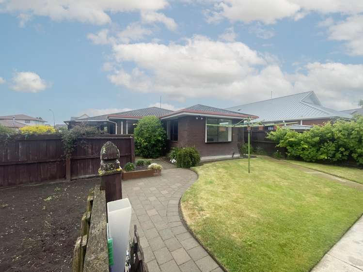 9 Lowry Avenue Redwood_11