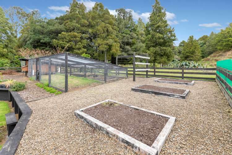 69 Golf Harbour Drive Maunu_16