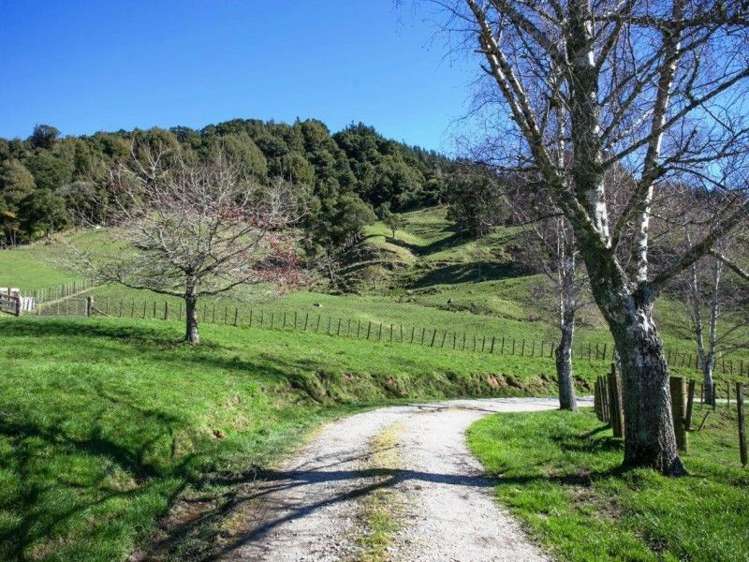 88 State Highway 30 Te Kuiti_16