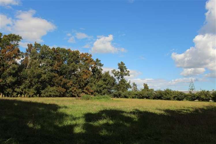 38d Waimarie Road Whenuapai_5