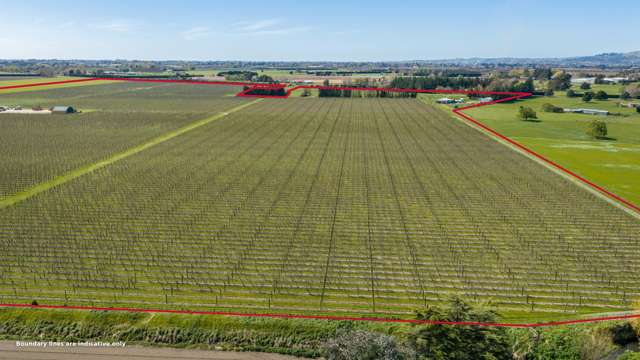264 Paki Paki Road Longlands_2