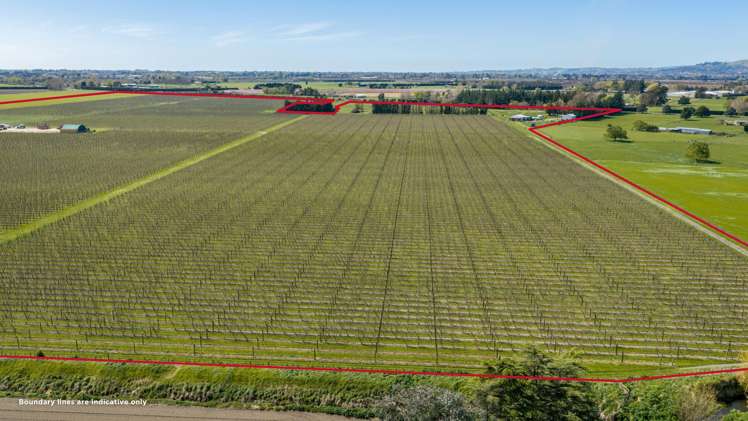 264 Paki Paki Road Longlands_2
