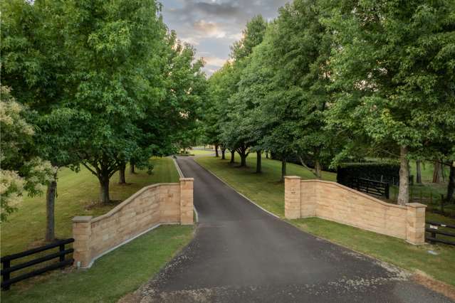 107 Butcher Road Matangi_1