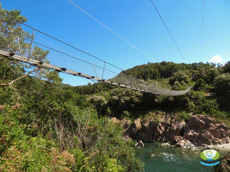 Upper Buller Gorge Road Murchison_1