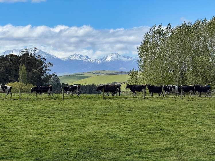473 Clifden Gorge Road Eastern Bush_16