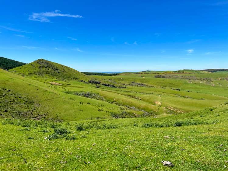 194 Beaumont Station Road Ohai_3