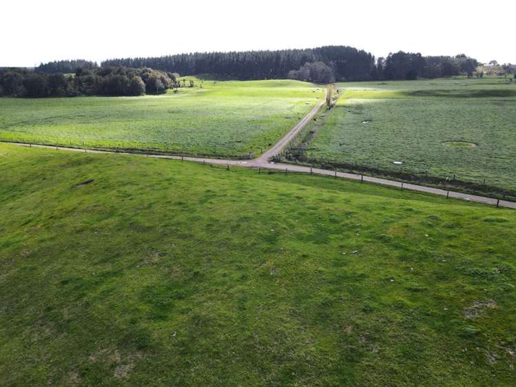 78 Brandon Hall Road Bulls_7