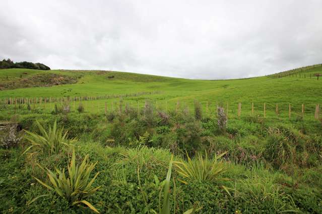 Lot 4 State Highway 1 Kaitaia_4