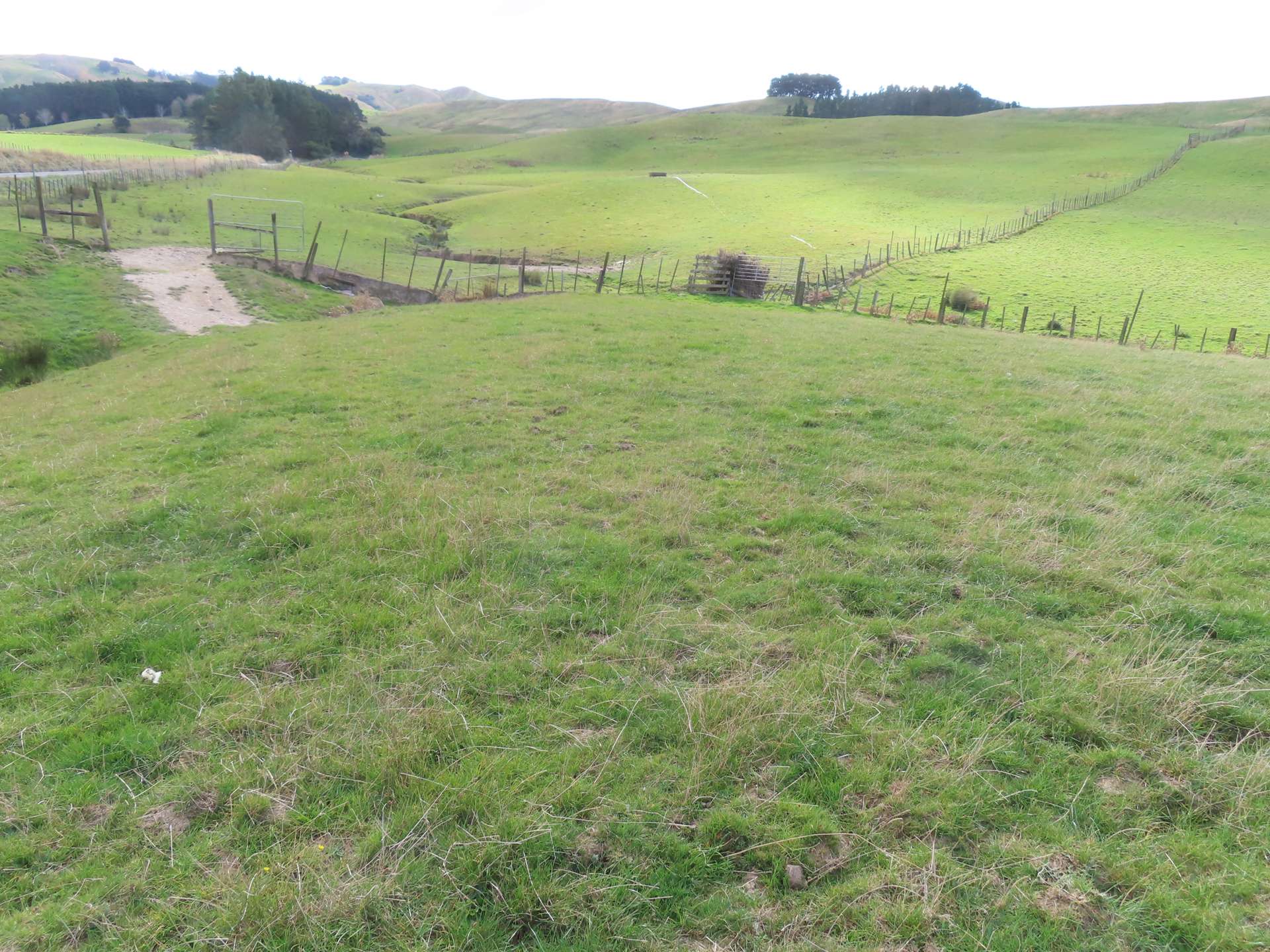 129 Speedy Road Dannevirke_0