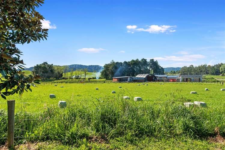 44 Saulbrey Road Ngaruawahia_2