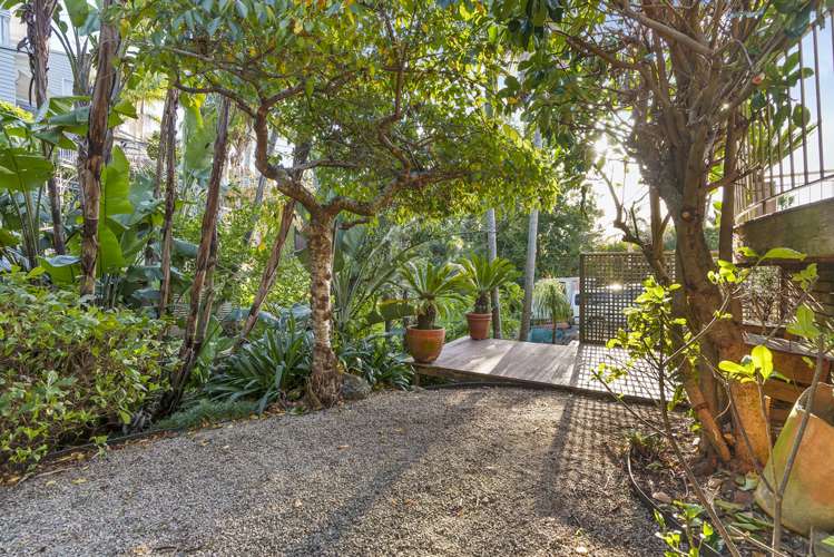 34a Meadowbank Road Meadowbank_21