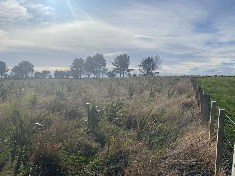 188 Reynolds Road Ratana_5