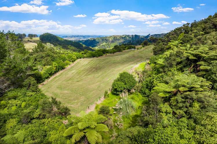 Lot 4/181C Govan Wilson Road Matakana_5