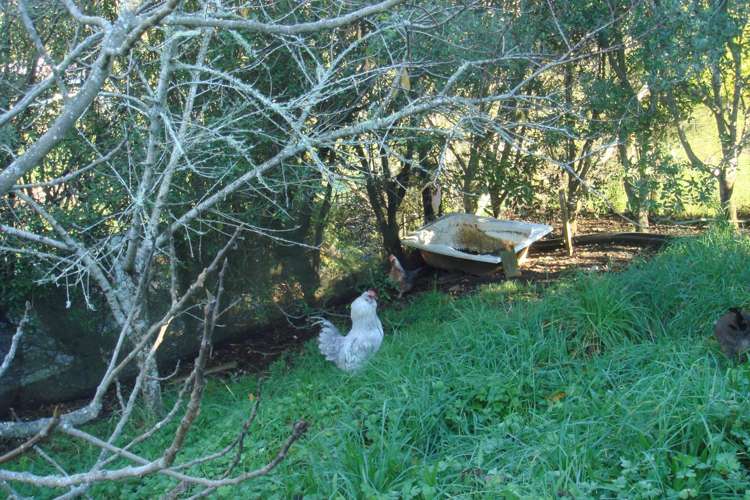 145b Helenslee Road Pokeno_56