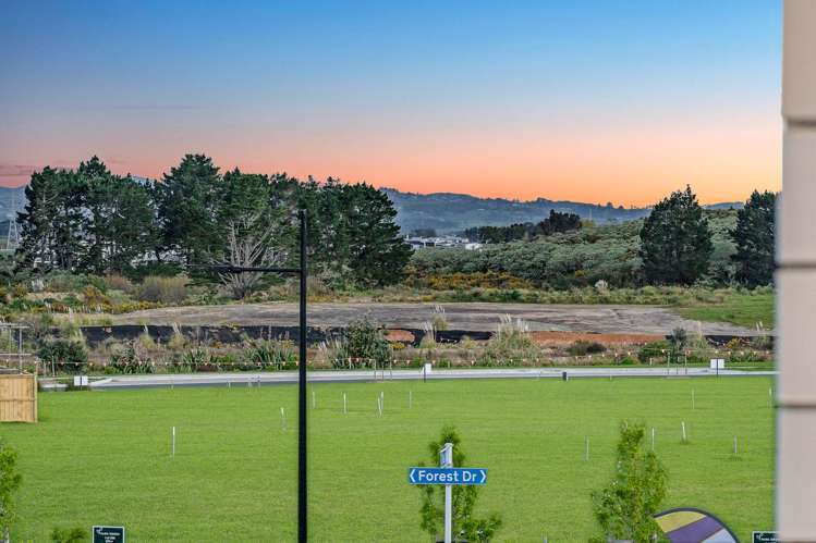 12 Teal Avenue Karaka_36