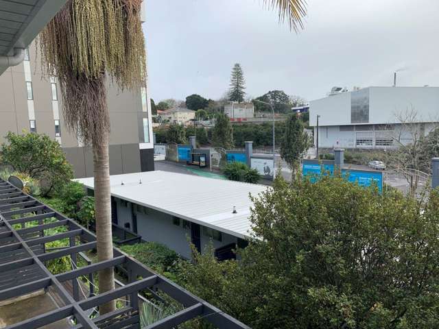 20/373 Khyber Pass Road Newmarket_3