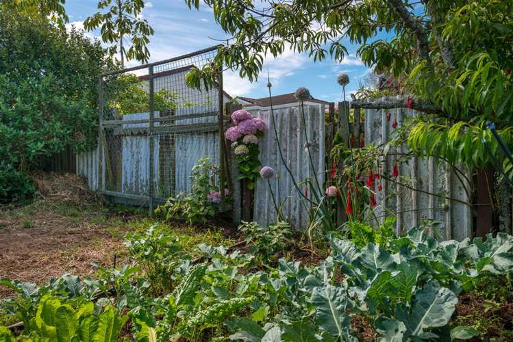 92a Lake Road Narrow Neck_6