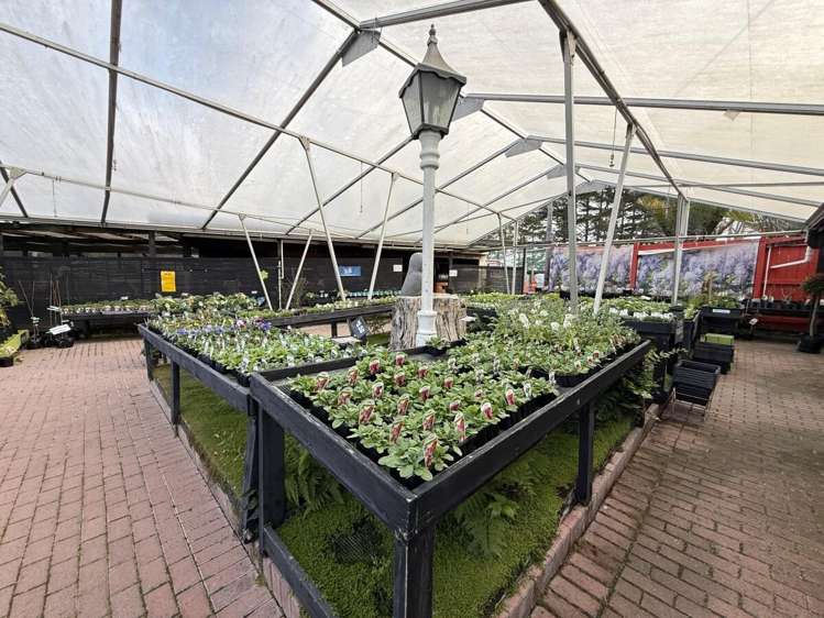 249-299 Main Road Kumeu_2