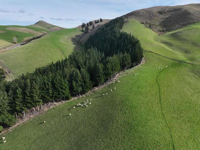 3 Conical Hill Road Gore_2