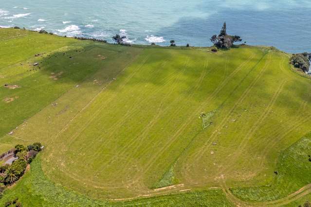 1119 Main North Road Onaero_3