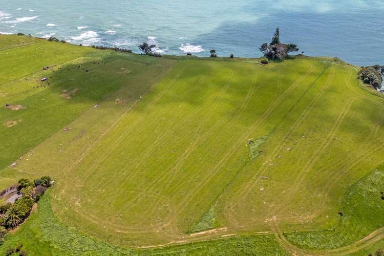 1119 Main North Road_3