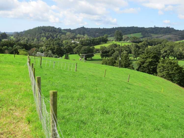 Marua Road Hikurangi_17