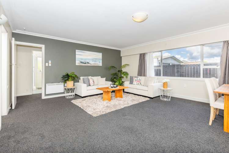 196 Clyde Street Hamilton East_7