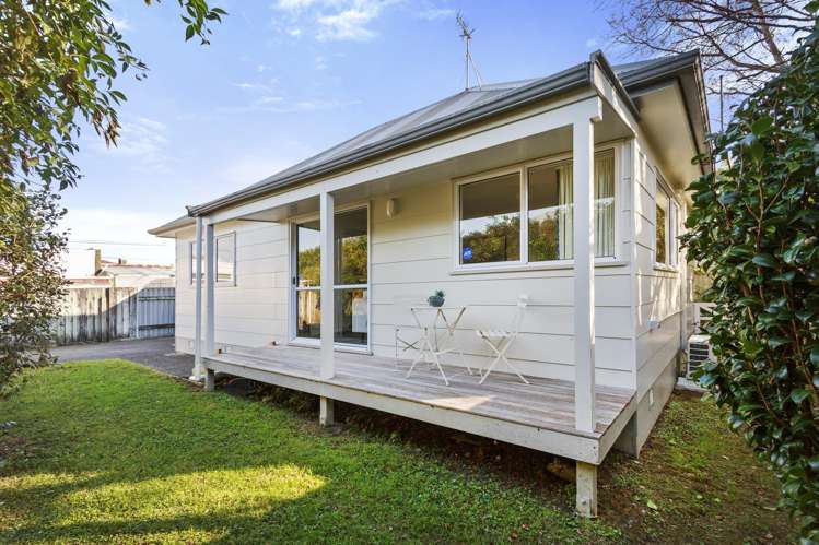 17A Fitzherbert Street_1