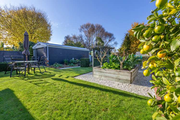 38 Colombo Street Cashmere_28