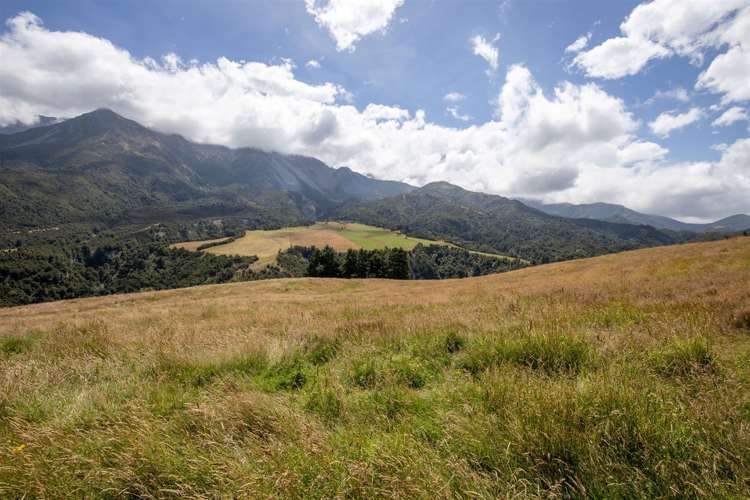 1178 Puhi Puhi Road Puhi Puhi_1