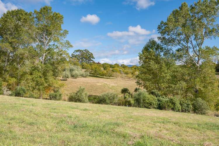 71 Cozens Road Dovedale_14