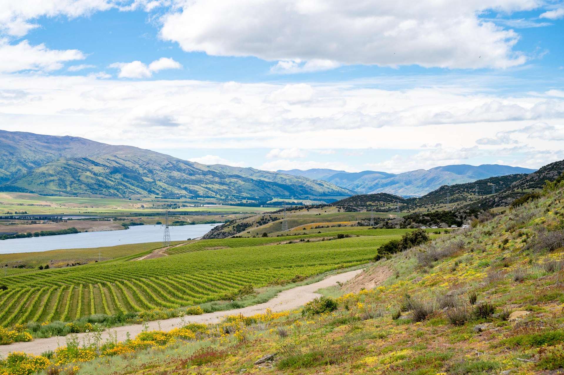 355 Lakefront Terrace, Bendigo Hills Cromwell_0